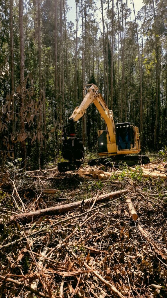 pexels photo 12921056 A powerful excavator clearing tall trees in a dense forest setting.