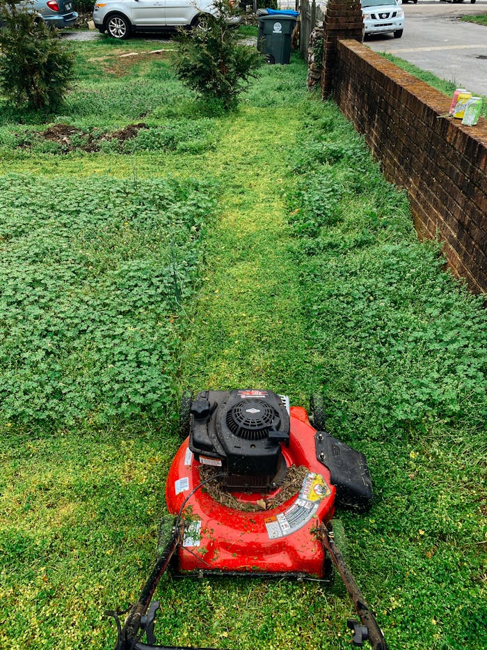 pexels photo 3999647 Red lawn mower cutting grass in a green garden with visible cut path. Ideal for gardening themes.